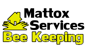BeeKeeping Logo